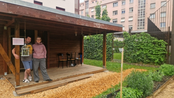 Les Montheysans "savent planter les choux" et autres légumes au jardin partagé de Ciboulette et grelinette 
